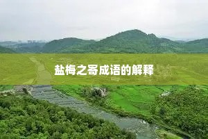 盐梅之寄成语的解释