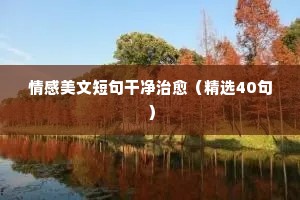 动态情感说说壁纸抖音（通用40句）