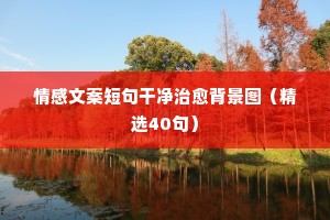 男人经典情感说说（通用8篇）