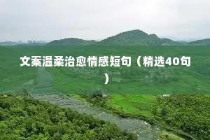 情感水果说说（精选40句）