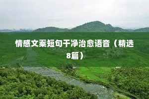 白驹过隙的解释