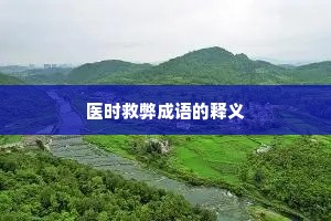 医时救弊成语的释义