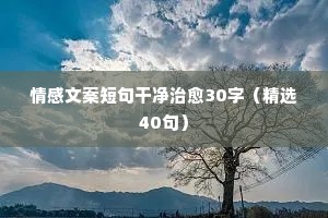 情感说说长句伤感微博（精选40句）