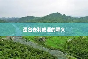 遗名去利成语的释义