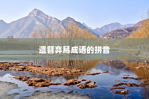 遗簪弃舄成语的拼音