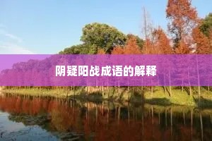 阴疑阳战成语的解释