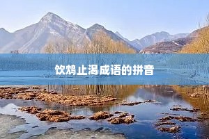 饮鸩止渴成语的拼音