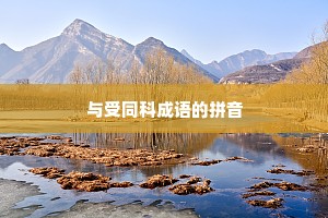 与受同科成语的拼音