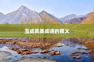 玉成其美成语的释义