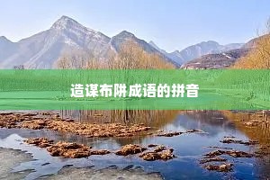造谋布阱成语的拼音