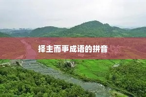 择主而事成语的拼音