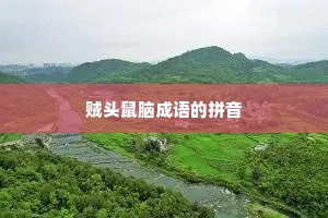 贼头鼠脑成语的拼音