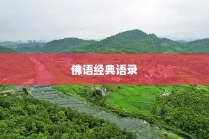 说说你的情感经历（通用40句）