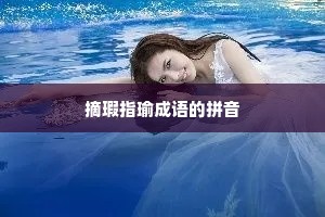 摘瑕指瑜成语的拼音