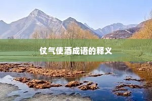 仗气使酒成语的释义