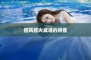 招风揽火成语的拼音