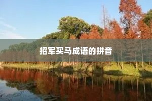 招军买马成语的拼音