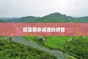 招是惹非成语的拼音
