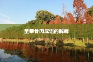 至亲骨肉成语的解释