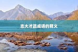 志大才疏成语的释义