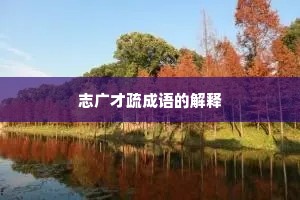志广才疏成语的解释