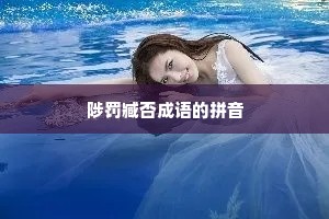 陟罚臧否成语的拼音