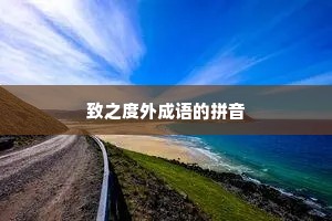 致之度外成语的拼音