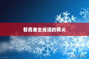 智勇兼全成语的释义
