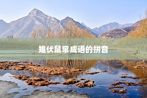 雉伏鼠窜成语的拼音