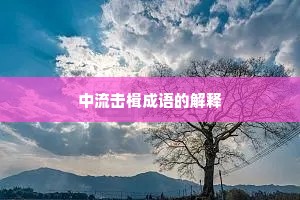 中流击楫成语的解释