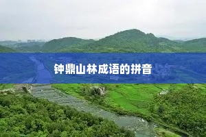 钟鼎山林成语的拼音