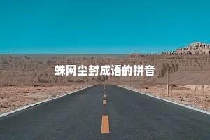 蛛网尘封成语的拼音