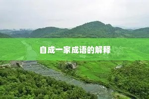 自成一家成语的解释