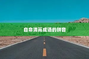 自命清高成语的拼音