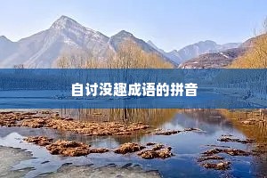 自讨没趣成语的拼音