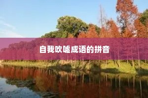 自我吹嘘成语的拼音