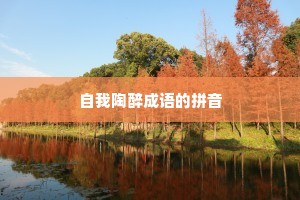 自我陶醉成语的拼音