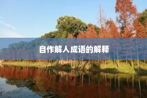 自作解人成语的解释