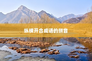 纵横开合成语的拼音