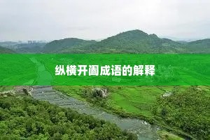 纵横开阖成语的解释