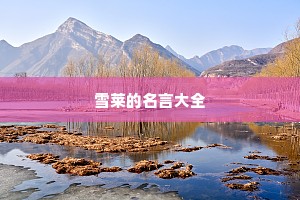 姓王的情感说说带字（精选8篇）