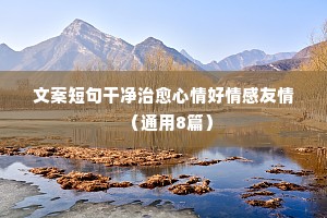 白玉微瑕的成语解释