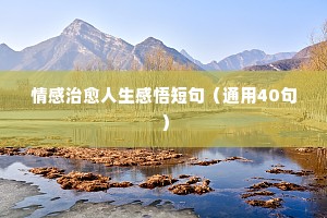 谈谈情感说说爱的个人频道（通用40句）