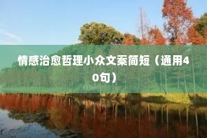 情感治愈哲理小众文案简短（通用40句）