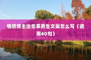 百孔千创的成语解释