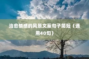 表示单身的情感说说（精选40句）