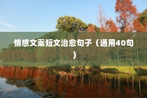 奶爸情感说说（通用40句）