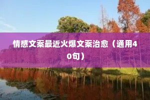 情感独白类感人vlog文案（精选40句）