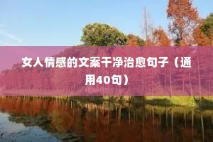 败于垂成的释义