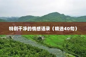 情感美文文案（通用40句）